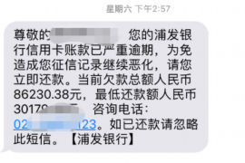 江西融资清欠服务